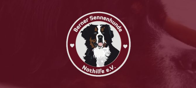 Glücksbringer für unsere Sorgenfelle Glücksbringer für unsere Sorgenfelle