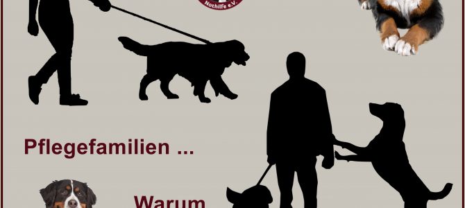 Warum eine Pflegefamilie? Warum eine Pflegefamilie?