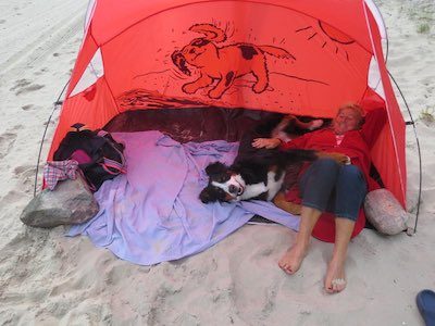 Mit dem Hund verreisen Mit dem Hund verreisen