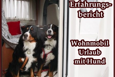 Wohnmobil-Urlaub mit Hund Wohnmobil-Urlaub mit Hund