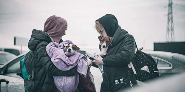 TASSO Newsletter – Damit Mensch und Tier zusammenbleiben TASSO.Help – Plattform für Unterkünfte TASSO Newsletter – Damit Mensch und Tier zusammenbleiben TASSO.Help – Plattform für Unterkünfte